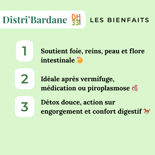 Bardane Cheval - Détoxifiant naturel - DistriHorse33
