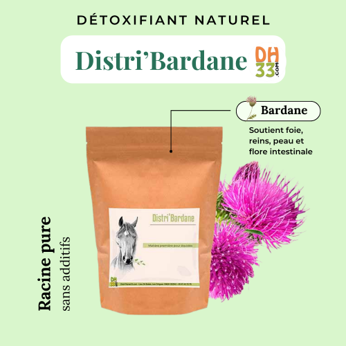 Bardane Cheval - Détoxifiant naturel - DistriHorse33