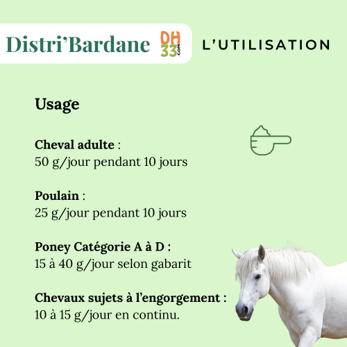 Bardane Cheval - Détoxifiant naturel - DistriHorse33