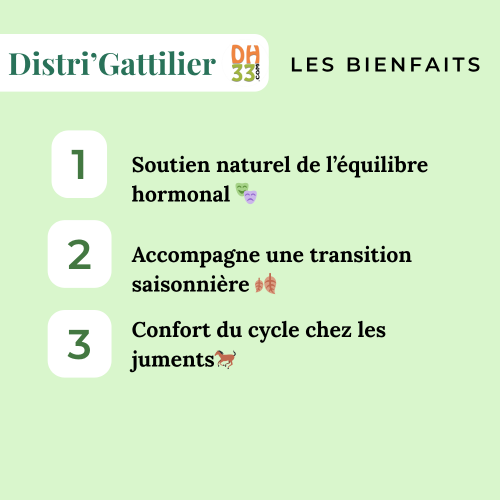 Gattilier - Gestion Hormonale - Plante Pure