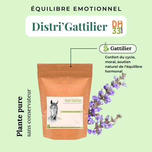 Gattilier - Gestion Hormonale - Plante Pure