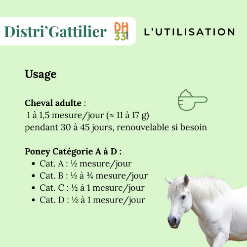 Gattilier - Gestion Hormonale - Plante Pure