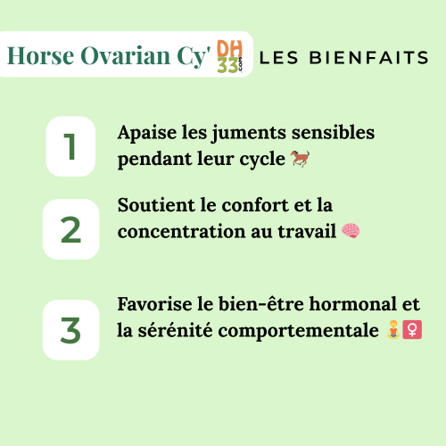 Horse Ovarian Cy' - Jument difficile au travail