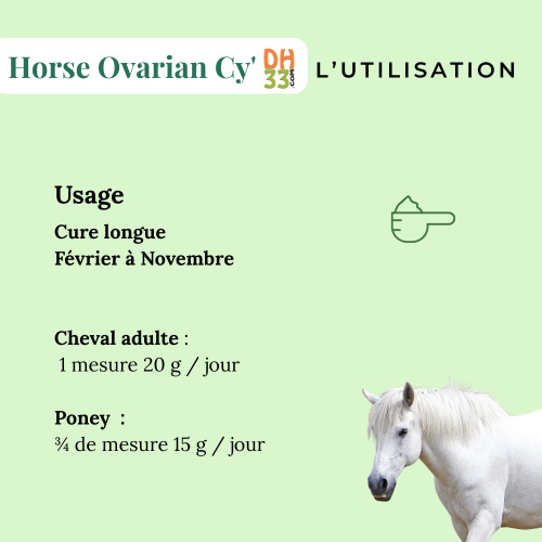 Horse Ovarian Cy' - Jument difficile au travail