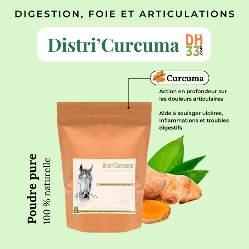 🌿 Curcuma cheval 100% pur – Digestion, foie et confort articulaire