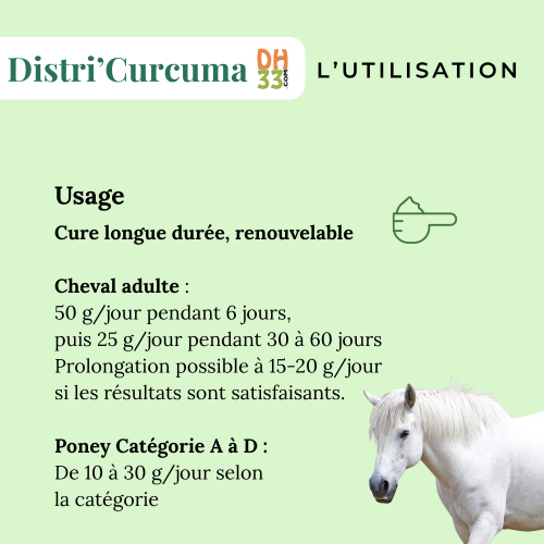 🌿 Curcuma cheval 100% pur – Digestion, foie et confort articulaire