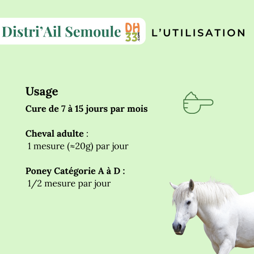 Ail semoule - Puissant Antioxydant Naturel - Plante Pure