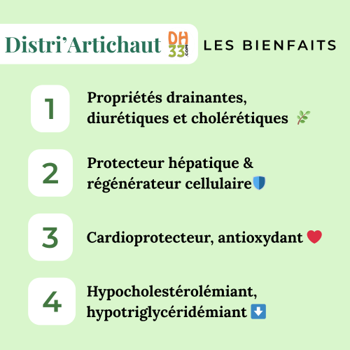 Artichaut Cheval - Drainant naturel