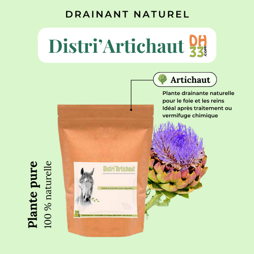 Artichaut Cheval - Drainant naturel