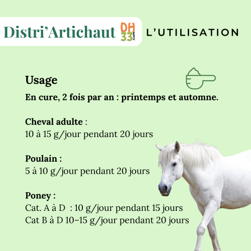 Artichaut Cheval - Drainant naturel