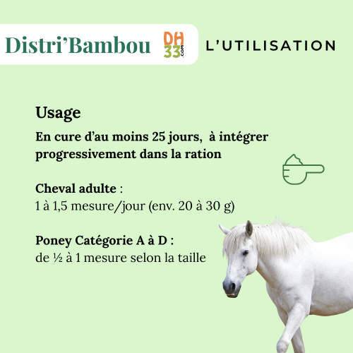 Bambou – Source naturelle de silicium pour les articulations