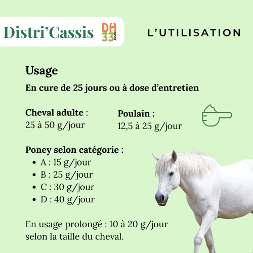 Cassis - Confort des Articulations - Plante Pure