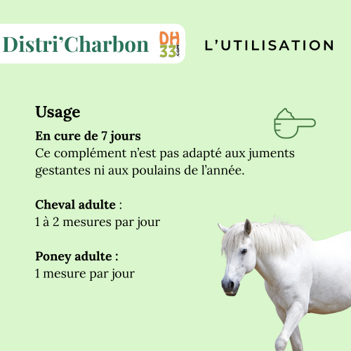Charbon Végétal - Confort Digestif - Produit de qualité