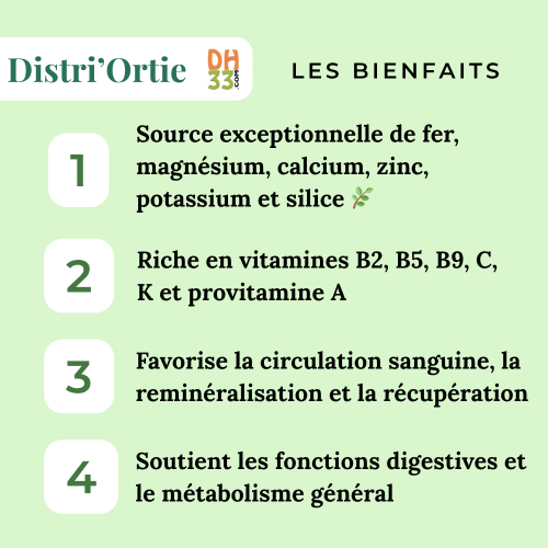 Ortie - Reminéralisante - Cheval Anémié - Plante Pure