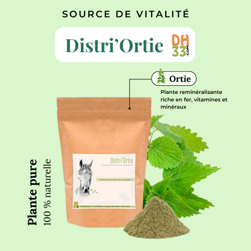 Ortie - Reminéralisante - Cheval Anémié - Plante Pure
