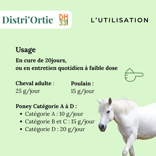 Ortie - Reminéralisante - Cheval Anémié - Plante Pure