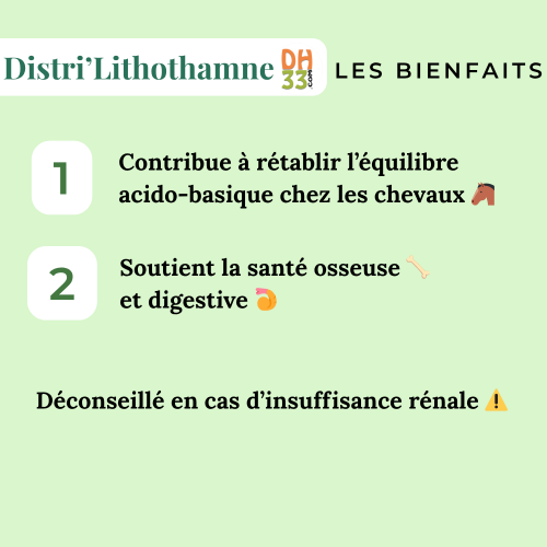 Lithothamne cheval – Anti-acidité, calcium & confort digestif