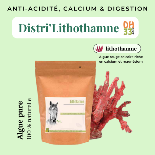 Lithothamne cheval – Anti-acidité, calcium & confort digestif