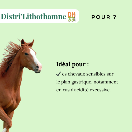 Lithothamne cheval – Anti-acidité, calcium & confort digestif