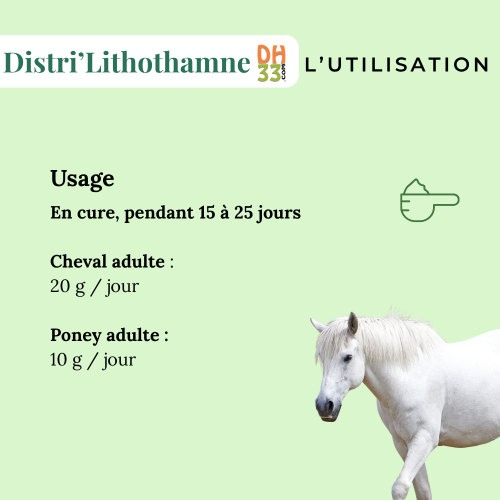 Lithothamne cheval – Anti-acidité, calcium & confort digestif