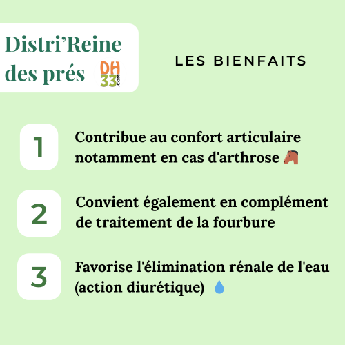 Reine des prés pour chevaux