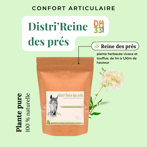 Reine des prés pour chevaux