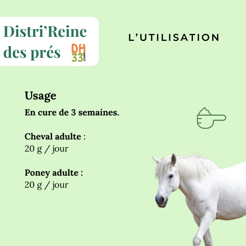 Reine des prés pour chevaux