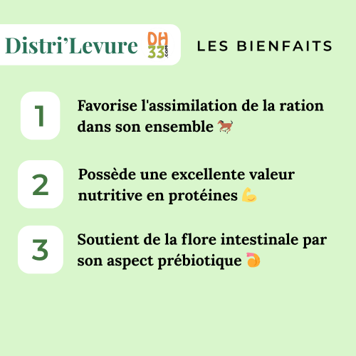 Levure de bière naturelle chevaux et poneys - Distri'Levure