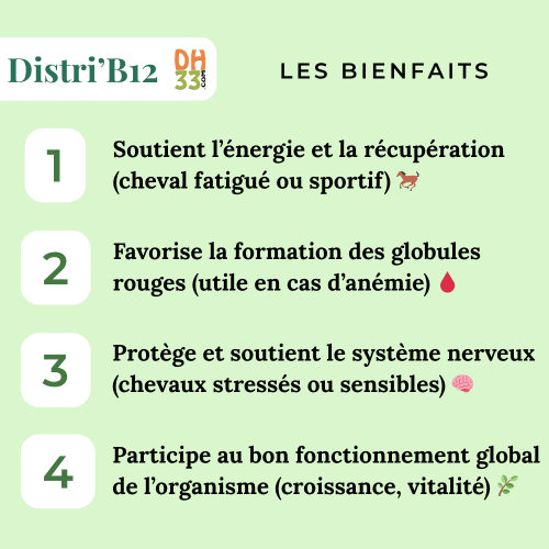 Complément Source de vitamine B12 pour cheval - Distri'B12
