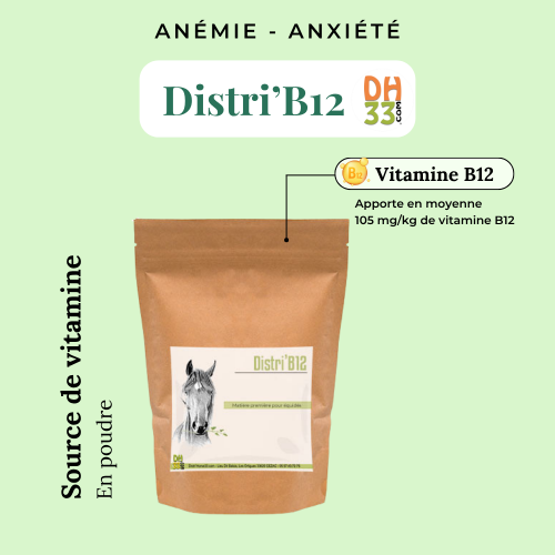 Complément Source de vitamine B12 pour cheval - Distri'B12
