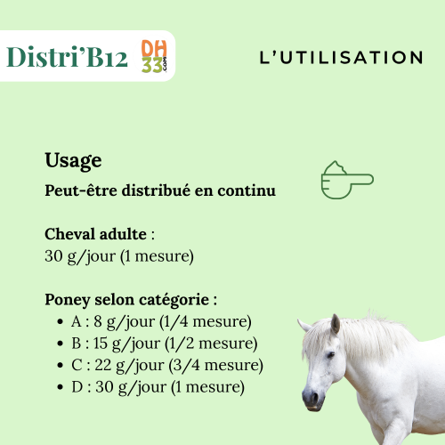 Complément Source de vitamine B12 pour cheval - Distri'B12
