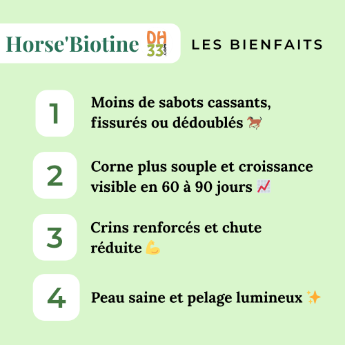 Horse'Biotine Liquide 1L - Source de  Biotine Cheval - DistriHorse33