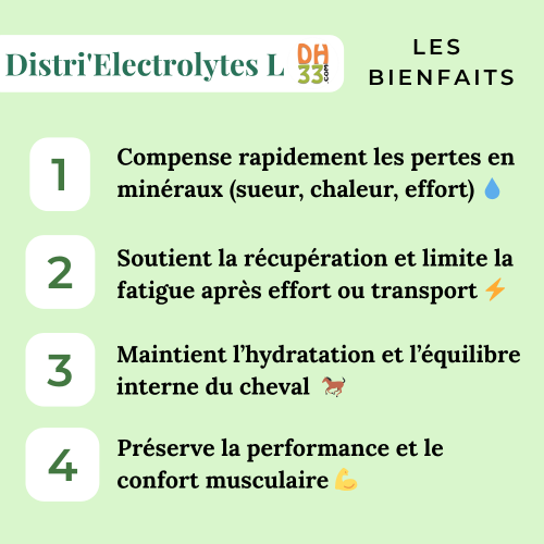 Distri'Electrolytes L - Electrolytes liquides cheval - DistriHorse33