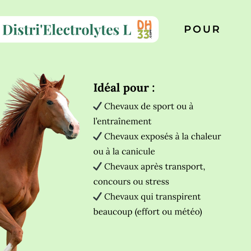 Distri'Electrolytes L - Electrolytes liquides cheval - DistriHorse33