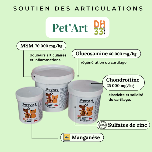 Pet'Art - Confort Articulaire du Chien - Arthrose