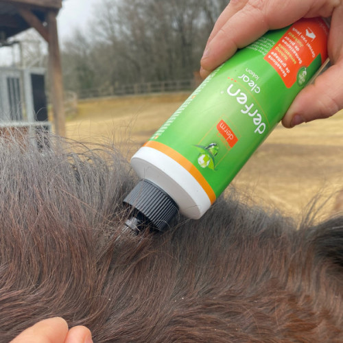 DERFEN™ Clear Lotion - Dermite du Cheval