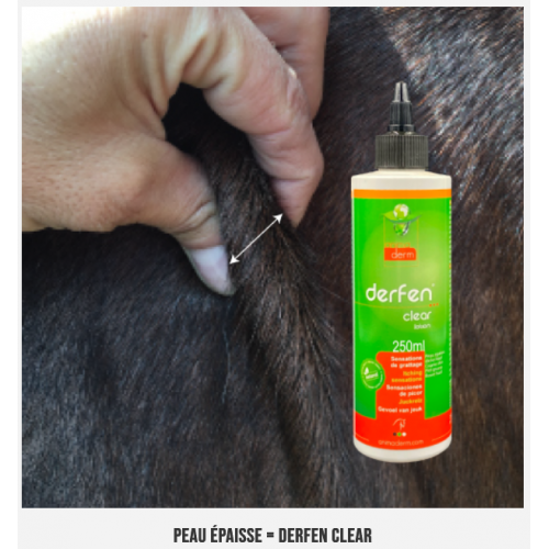 DERFEN™ Clear Lotion - Dermite du Cheval