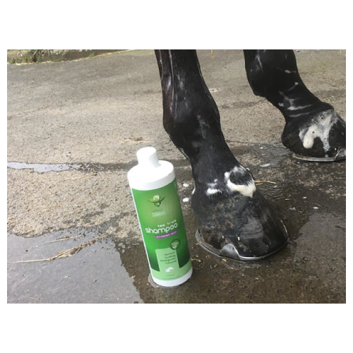Shampoo Tea Tree™ – Shampooing assainissant pour chevaux sensibles