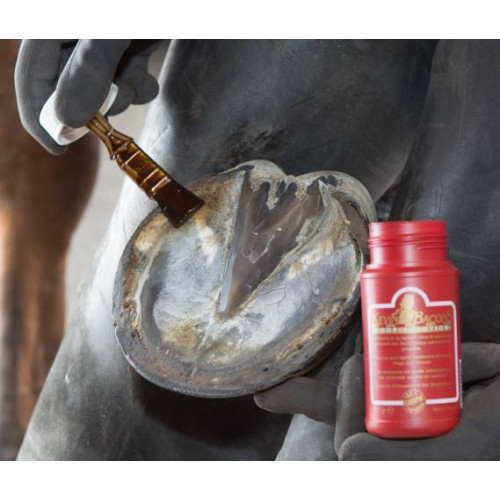 Hoof Solution Kevin Bacon's