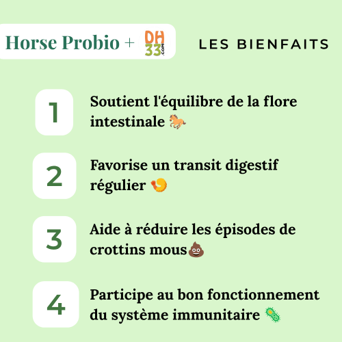 Horse Probio + : Probiotique et Prébiotique pour Chevaux, Poneys et Ânes