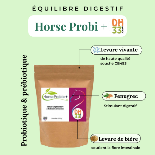 Horse Probio + : Probiotique et Prébiotique pour Chevaux, Poneys et Ânes