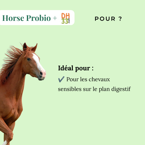 Horse Probio + : Probiotique et Prébiotique pour Chevaux, Poneys et Ânes