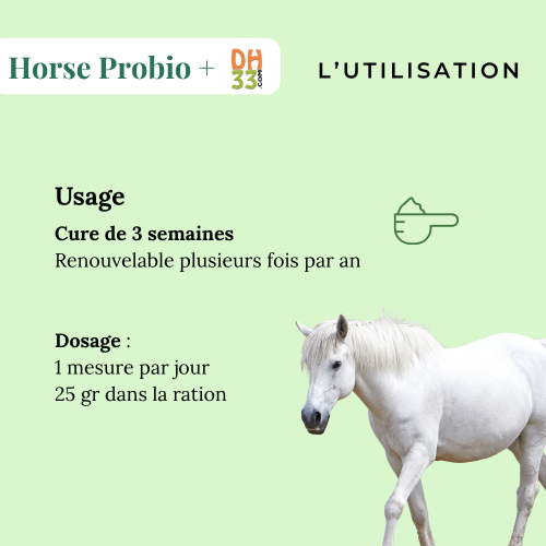 Horse Probio + : Probiotique et Prébiotique pour Chevaux, Poneys et Ânes