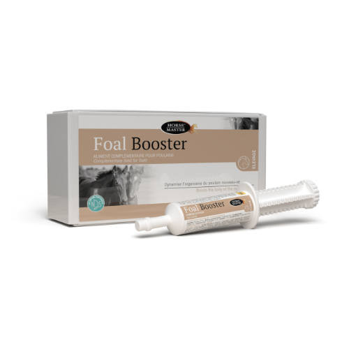 FOAL BOOSTER - Protection de l'organisme et stimulation de la croissance du poulain