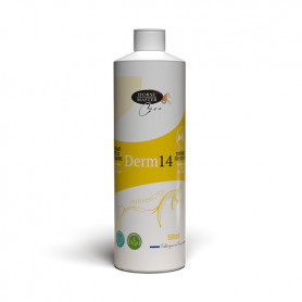 solution Dermite cheval