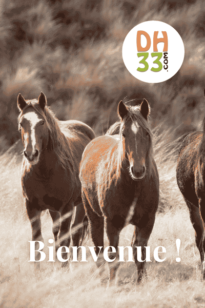 Nos codes promo DistriHorse33