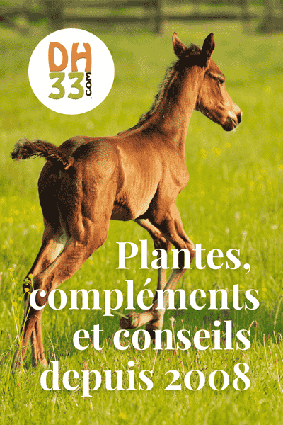 Qui sommes-nous DistriHorse33