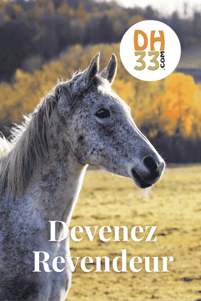 Programme Revendeur DistriHorse33