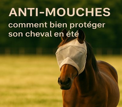 Protection cheval contre les mouches