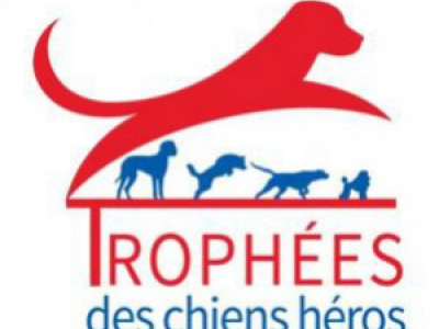 Trophées de Chiens Héros